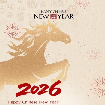 Das Jahr des Pferdes mit Schwung und Fortschritt feiern